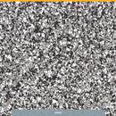 0905 Kluth PROSHIELD FLAKES fein